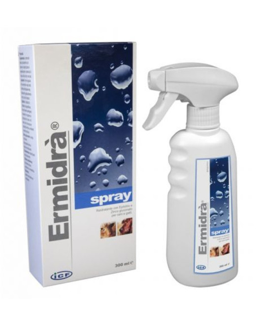 ERMIDRA SPRAY 300 ML