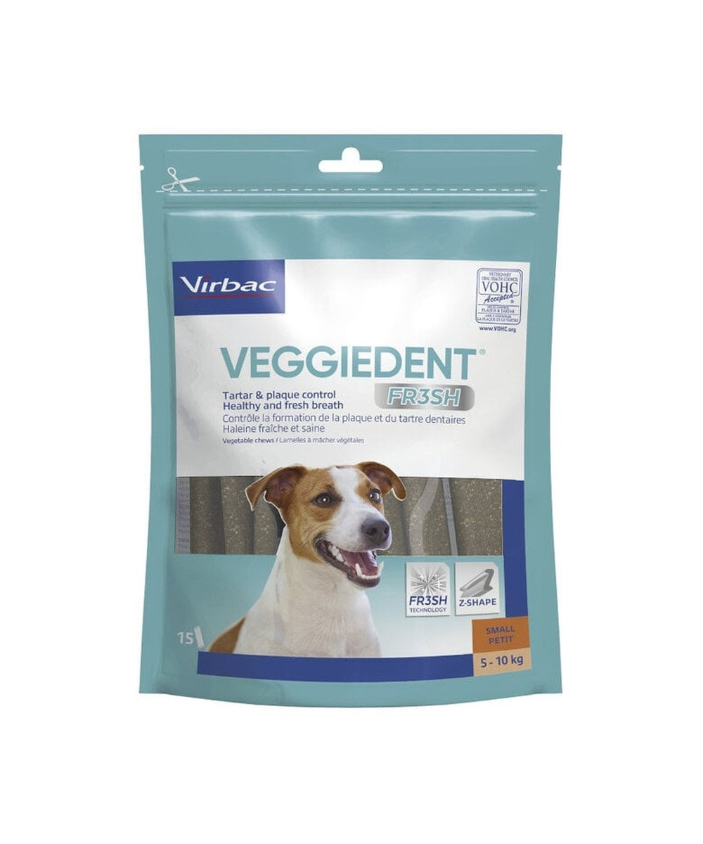 VEGGIEDENT FRESH S