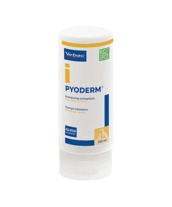 PYODERM CHAMPU 250 ML