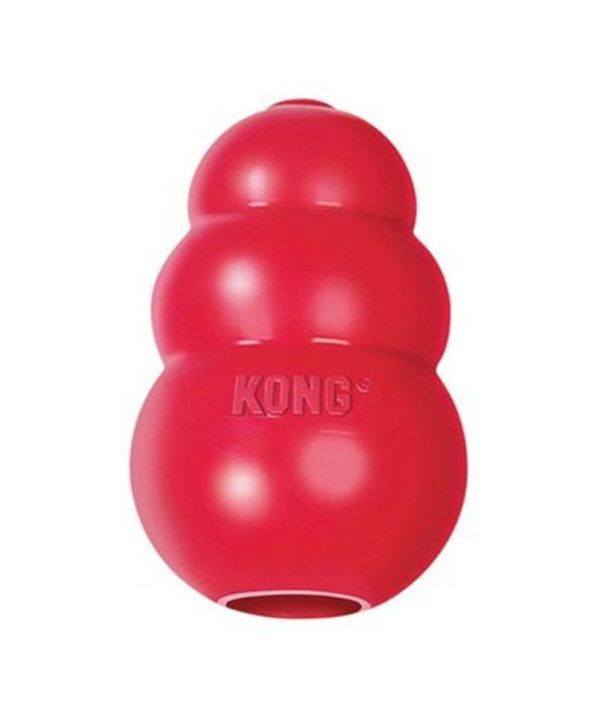 KONG ROJO L