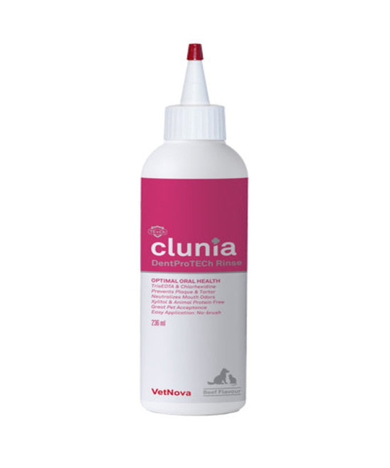 CLUNIA DENTPROTECH RINSE 236 ML (ex TRISDENT)