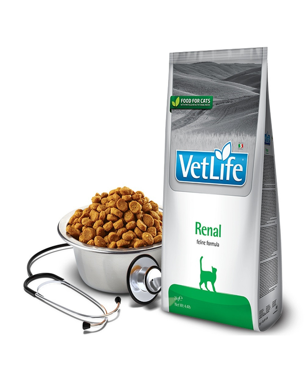 FARMINA VET LIFE GATO RENAL 400GR