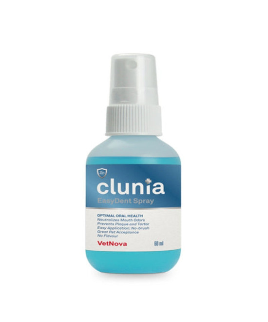CLUNIA EASY DENT SPRAY 60 ML