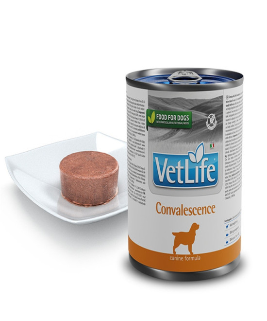 FARMINA VET LIFE PERRO CONVALESCENCE 300GR