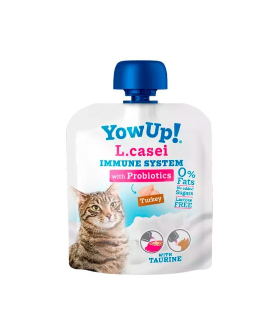 L CASEI TURKEY GATO 85 GR