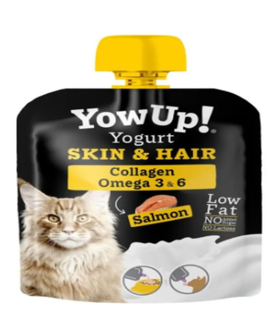 YOGURT SKIN AND HAIR CAT 85 GR 10 UDS