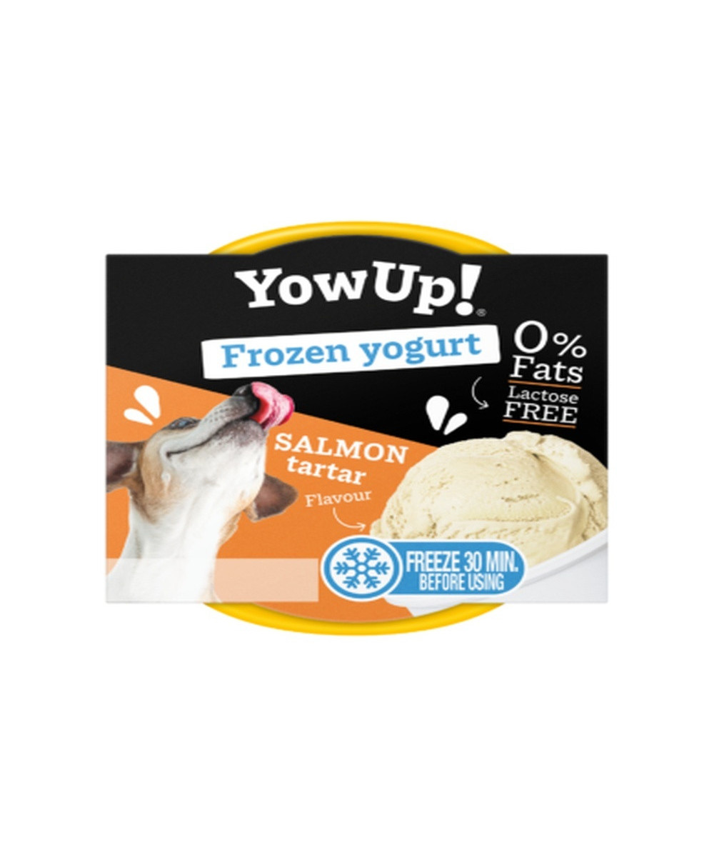 ICE CREAM YOGURT SALMON TARTAR 110 GR