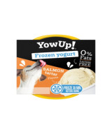 ICE CREAM YOGURT SALMON TARTAR 110 GR