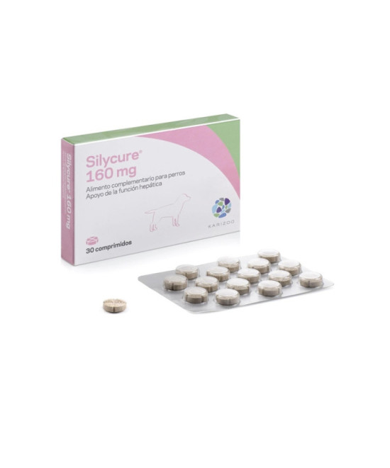 SILYCURE 160 MG 30 COMPRIMIDOS