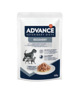 ADVANCE VETERINARY DIETS PERRO&GATO RECOVERY 100G