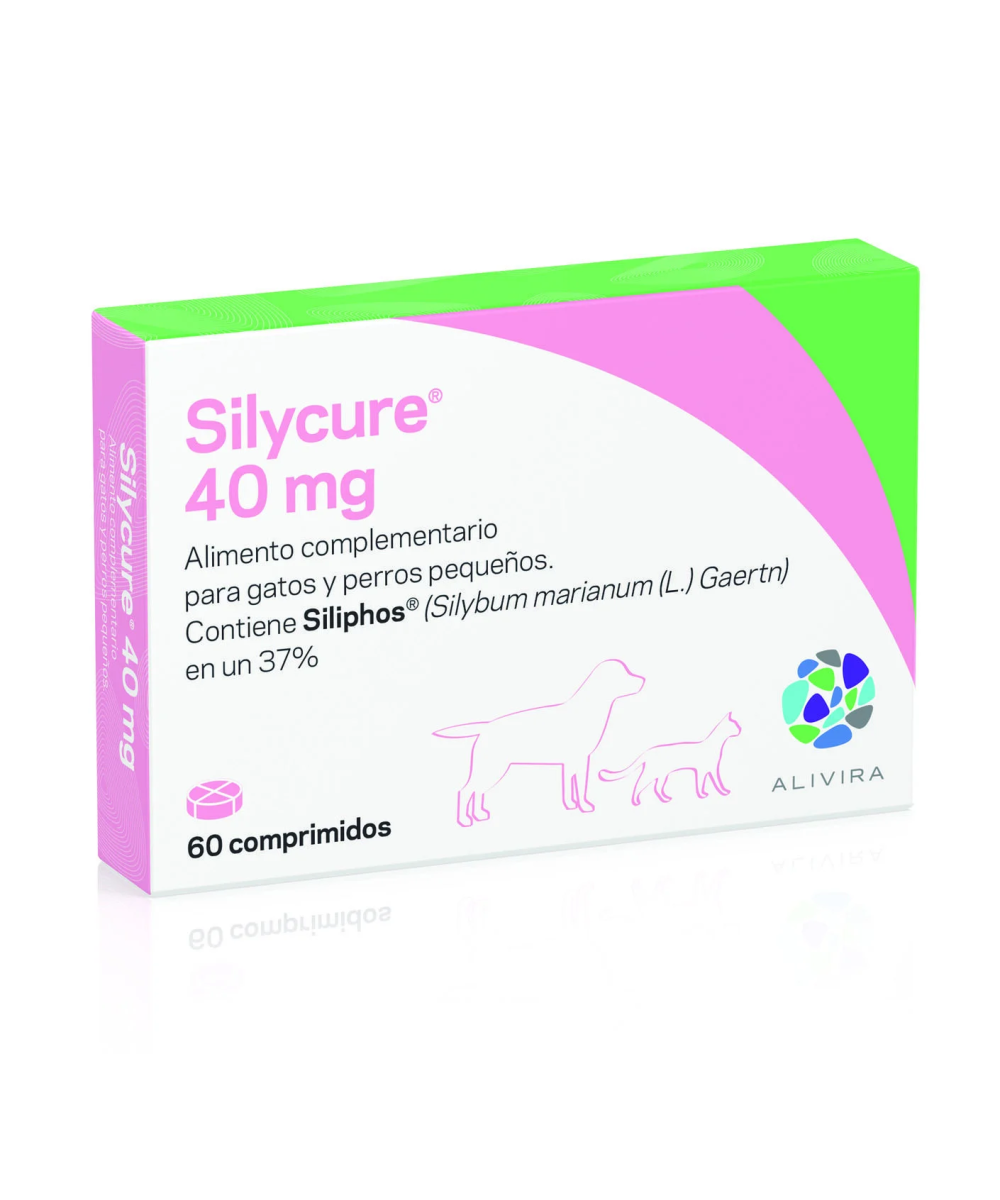 SILYCURE 40 MG 60 COMPRIMIDOS