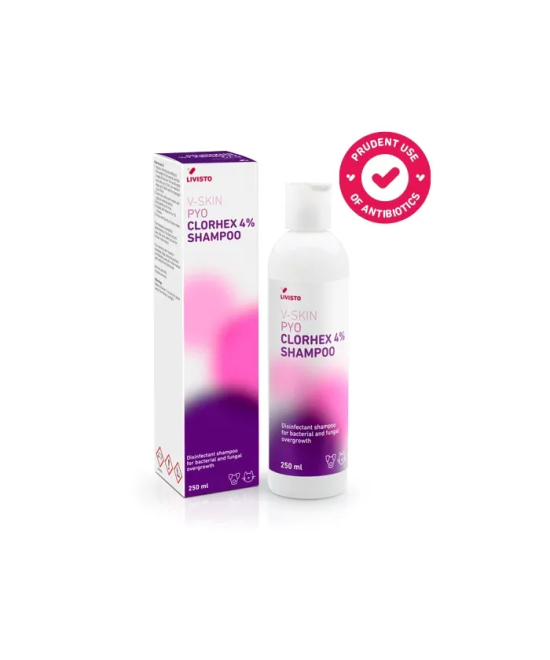 V-SKIN PYO CLORHEX 4% CHAMPU 250 ML