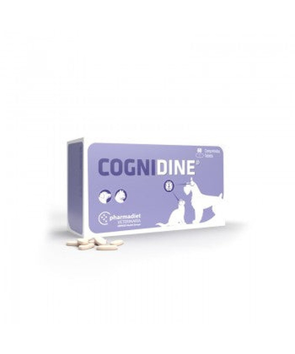 COGNIDINE 60 COMPRIMIDOS
