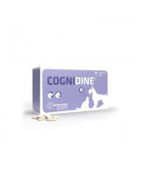 COGNIDINE 60 COMPRIMIDOS