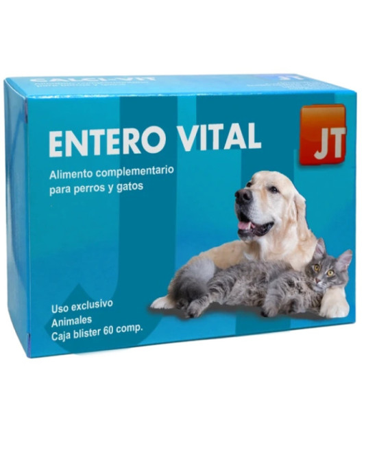 JT-ENTEROVITAL 60 STICKS x 1 GR