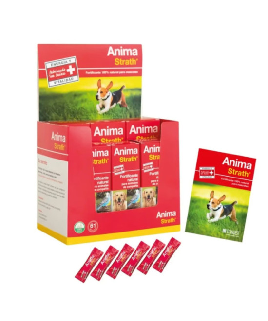 ANIMA STRATH EXPOSITOR (3x100 ML + 3x250 ML)
