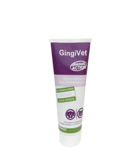 GINGIVET PASTA 100 GR