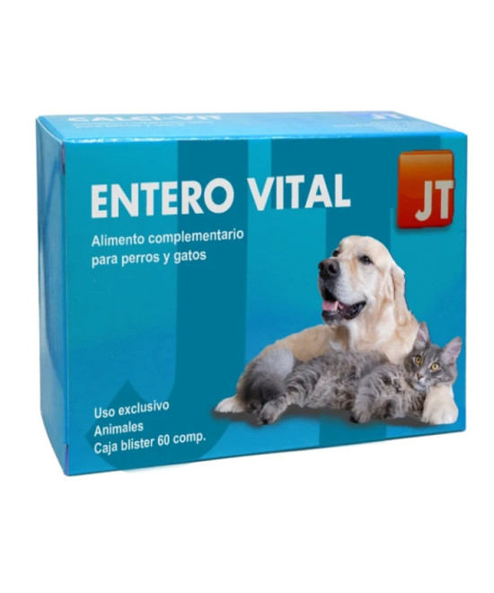 JT-ENTEROVITAL 60 COMP