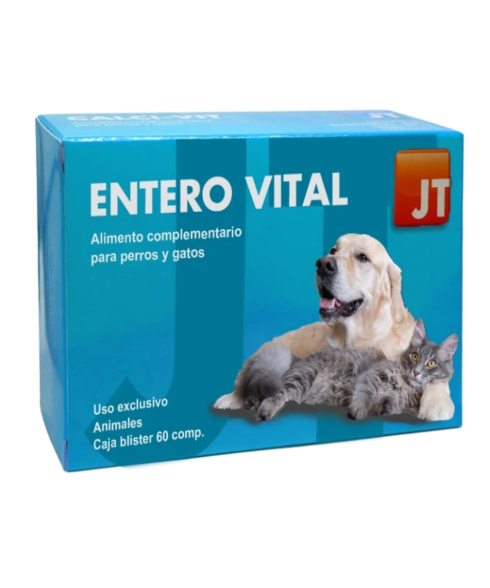 JT-ENTEROVITAL 60 COMP