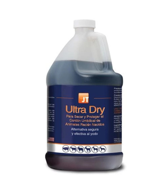 JT-ULTRA DRY GALON