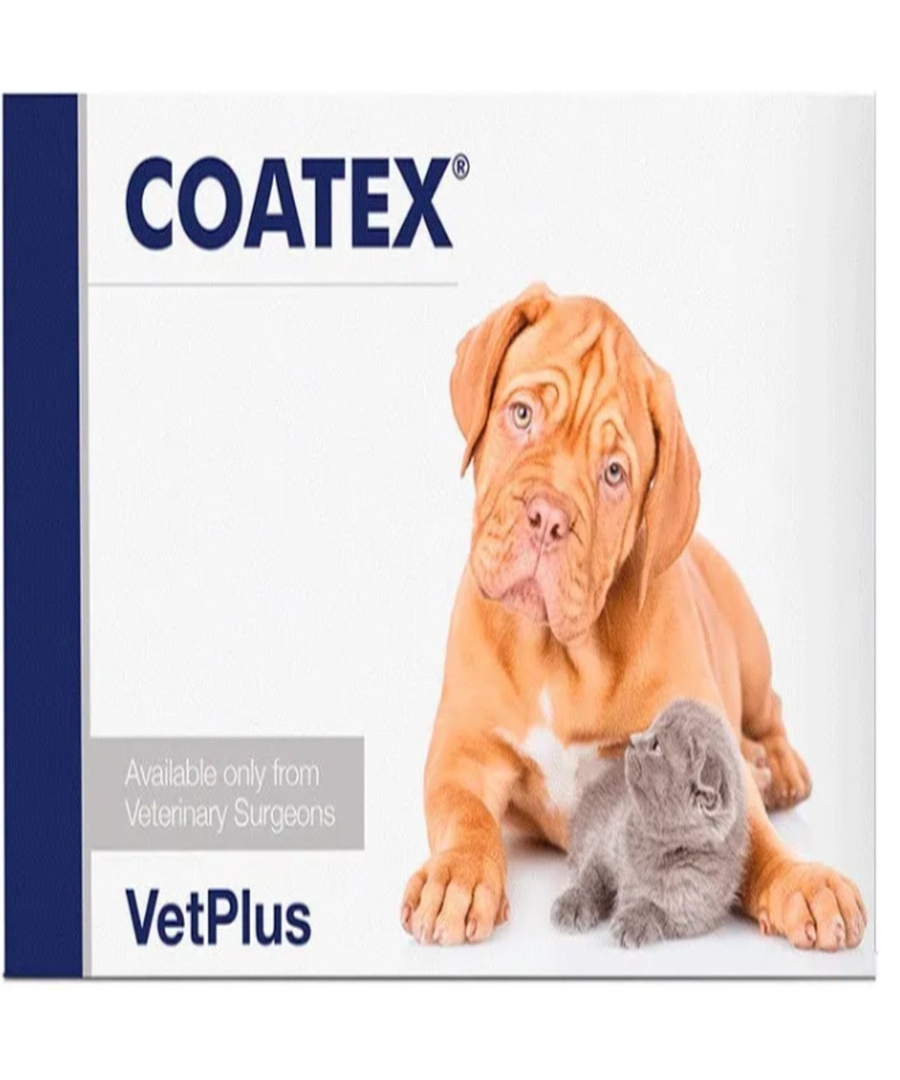 COATEX 4 x 60  240 CAPSULAS
