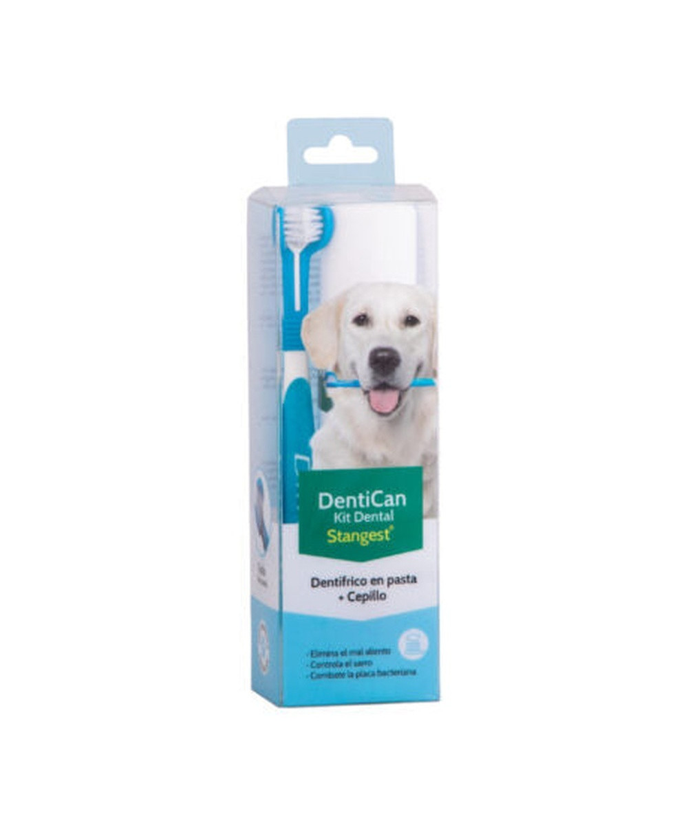 KIT DENTAL CEPILLO+PASTA