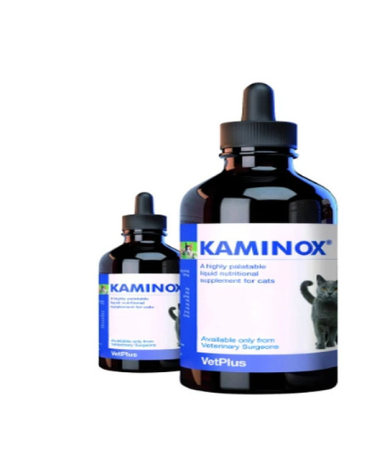 KAMINOX 120 ML