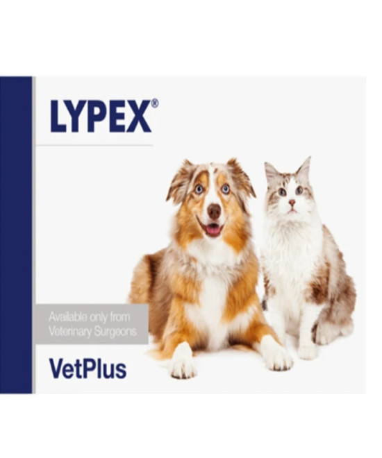 LYPEX 60 CAPSULAS