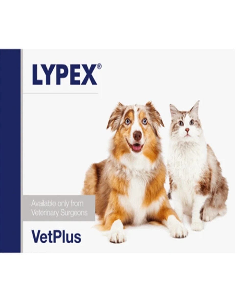 LYPEX 60 CAPSULAS