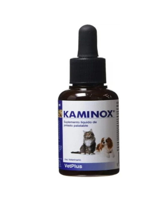 KAMINOX 60 ML
