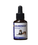 KAMINOX 60 ML