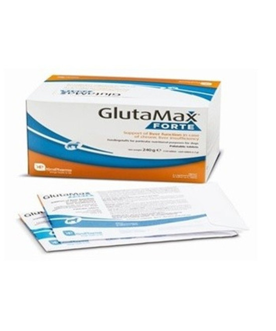 GLUTAMAX FORTE 120 COMP
