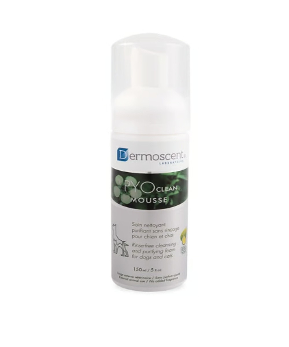 DERMOSCENT PYOCLEAN PERRO/GATO MOUSSE 150 ML