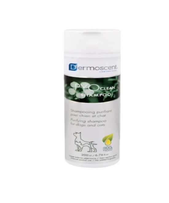 DERMOSCENT PYOCLEAN PERRO/GATO CHAMPU 200 ML
