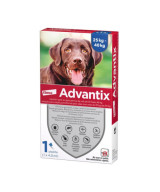 ADVANTIX 1 PIP x 4