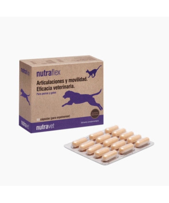 NUTRAFLEX 60 COMP