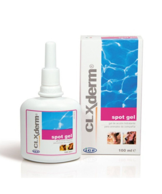 CLXDERM SPOT GEL 100 ML