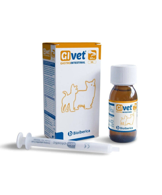GIVET GEL 60 ML