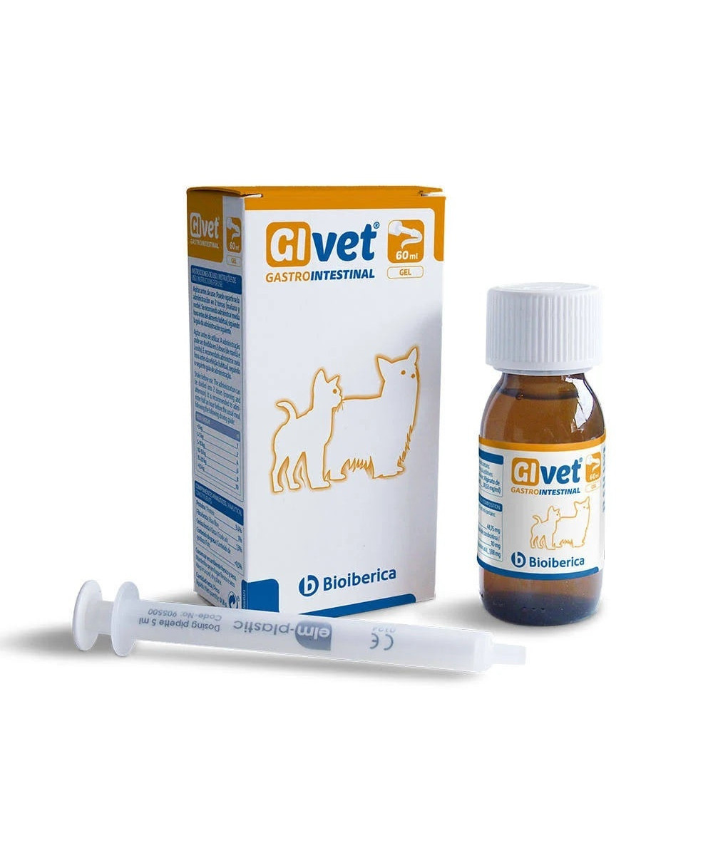 GIVET GEL 60 ML