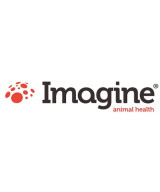 IMAGINE AH